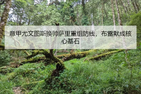 yi-jia-you-wen-tu-si-huan-shuai-sa-li-chong-zu-fang-xian-bu-lei-mo-cheng-he-xin-ji-shi-2-185.jpg