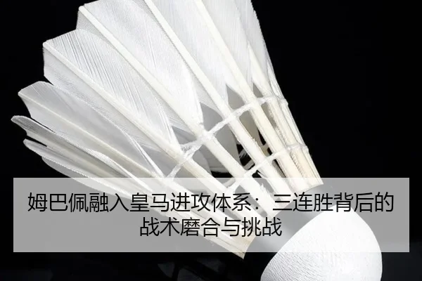mu-ba-pei-rong-ru-huang-ma-jin-gong-ti-xi-san-lian-sheng-bei-hou-de-zhan-shu-mo-he-yu-tiao-zhan-2-949.jpg