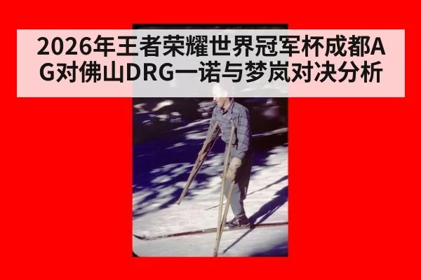 2026年王者荣耀世界冠军杯成都AG对佛山DRG一诺与梦岚对决分析
